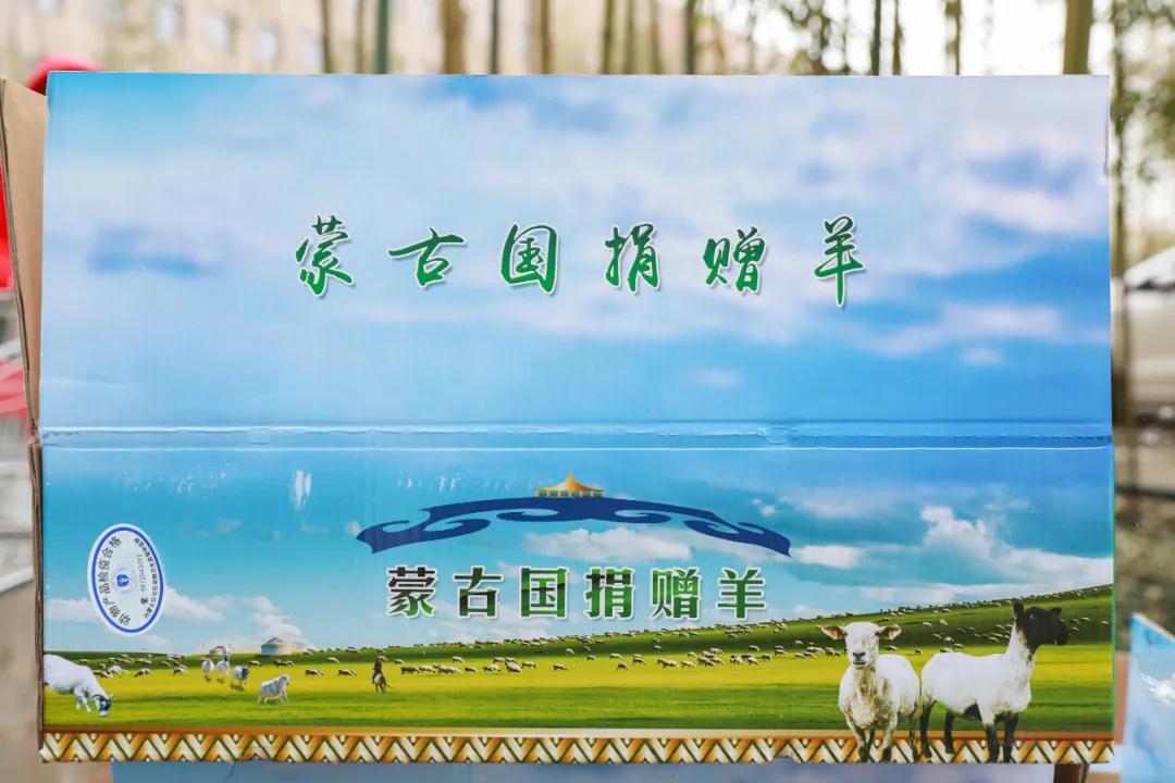 援鄂医疗队：“暖羊羊”来啦！