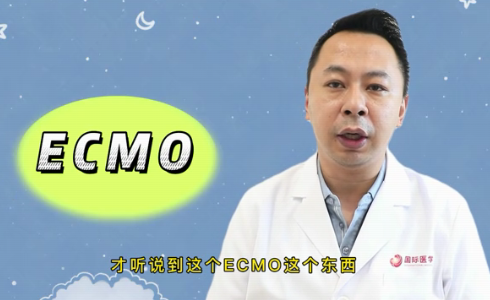 什么是ECMO？