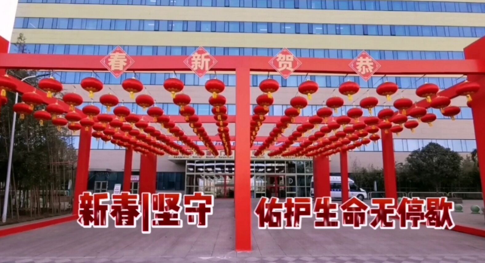 新春坚守 佑护生命无停歇