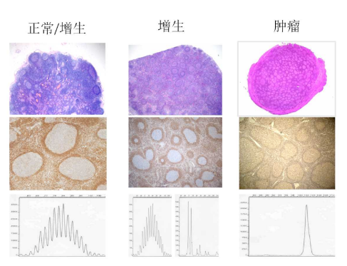 病理是什么