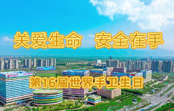 关爱生命安全在手——第16届世界手卫生日